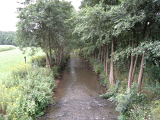La Sauer